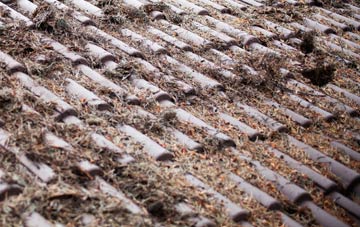 Leitholm roof cleaning companies